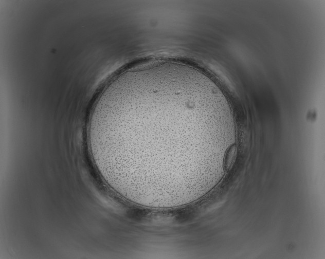 X0000089460491200707131952