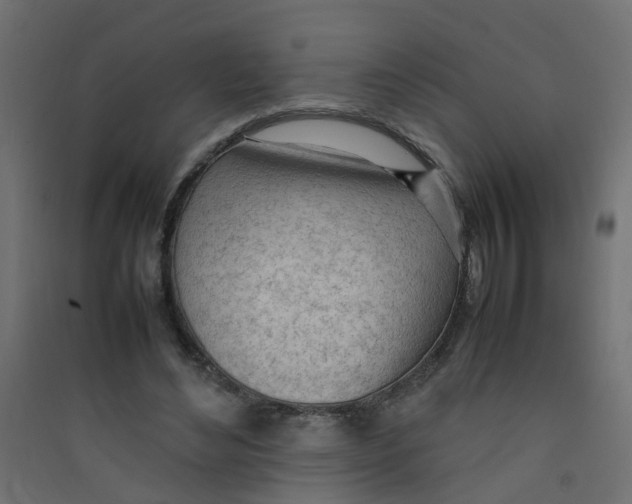 X0000089460492200707131952