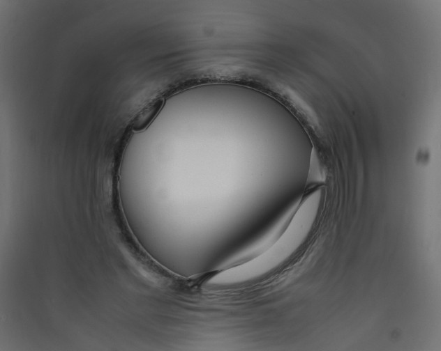 X0000089460493200707131951