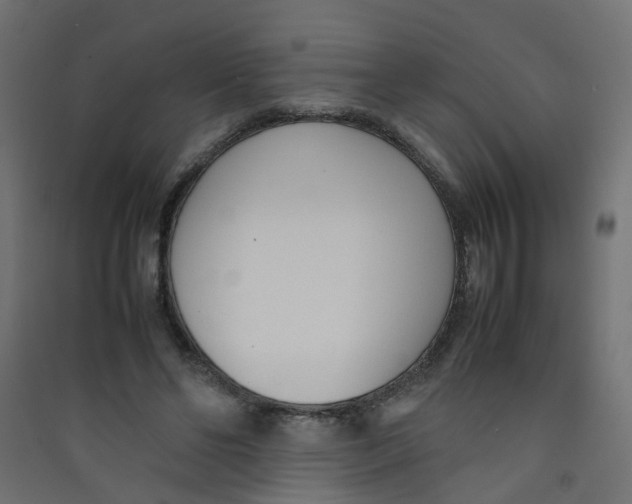 X0000089460494200707131951