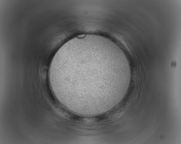 X0000089460495200707131951