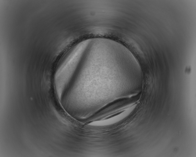 X0000089460496200707131951