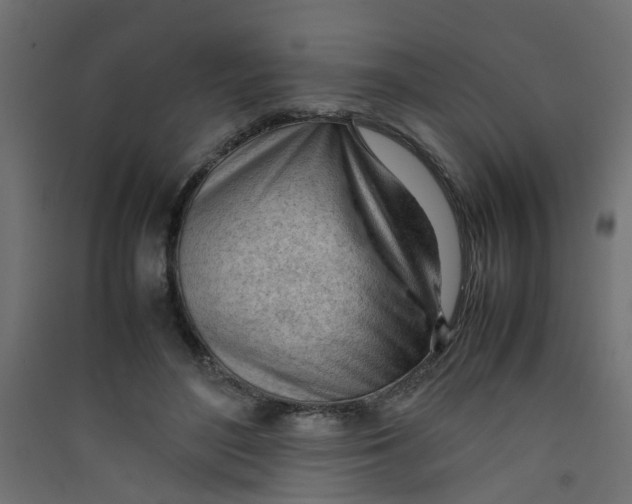 X0000089460500200707131951