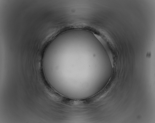 X0000089460501200707131951