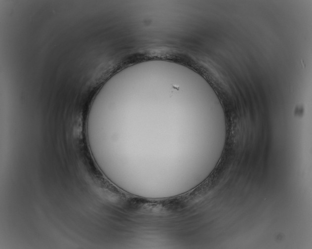 X0000089460502200707131951