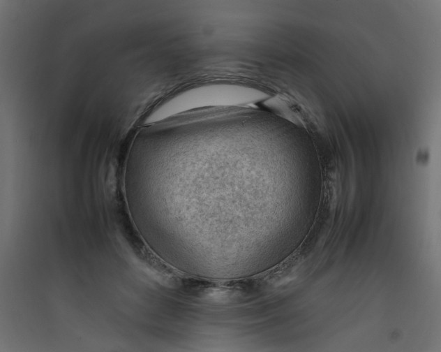 X0000089460504200707131951