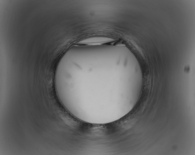 X0000089460505200707131951