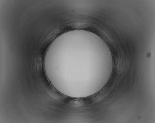 X0000089460506200707131951