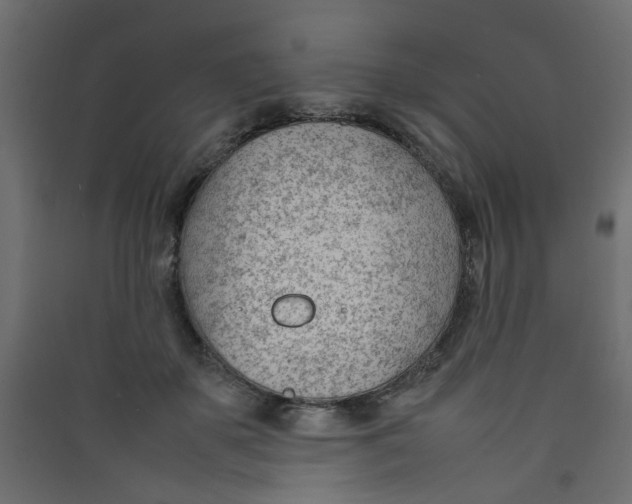 X0000089460507200707131951