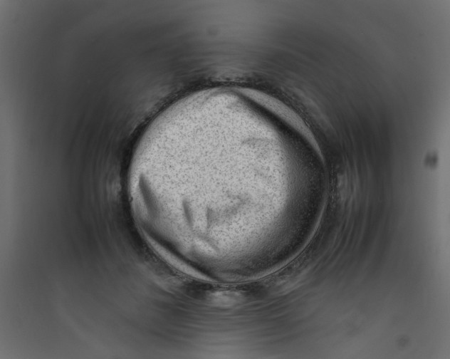 X0000089460508200707131951