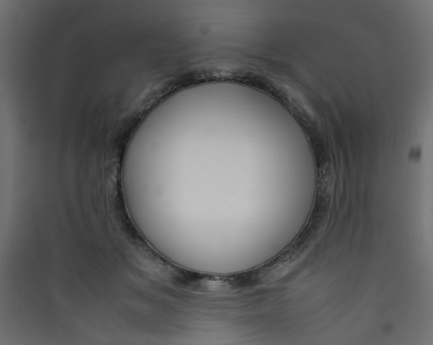 X0000089460509200707131951