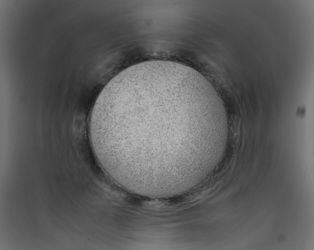 X0000089460511200707131951