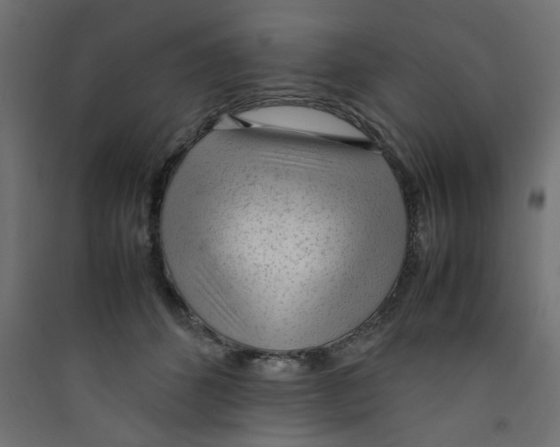 X0000089460512200707131951