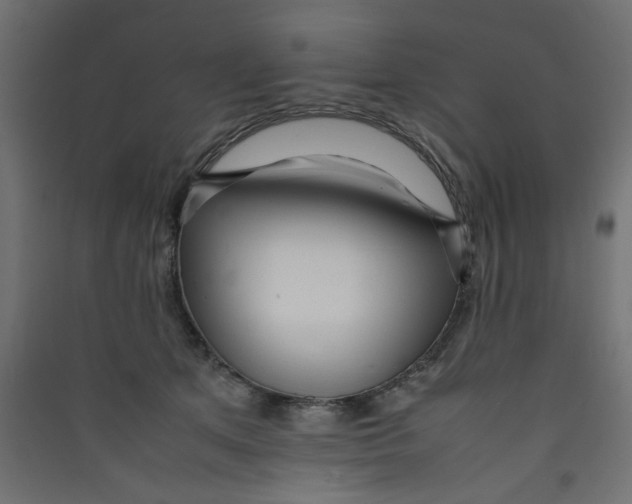 X0000089460513200707131951