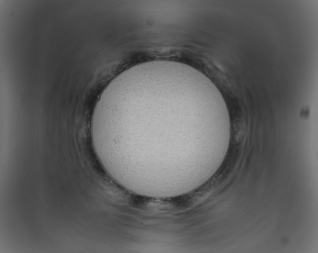 X0000089460515200707131951