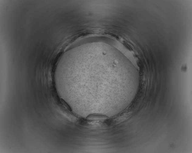 X0000089460516200707131951