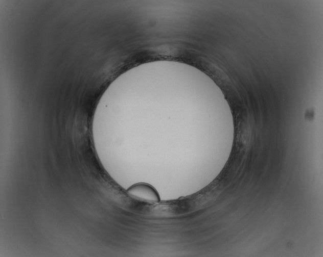 X0000089460518200707131951