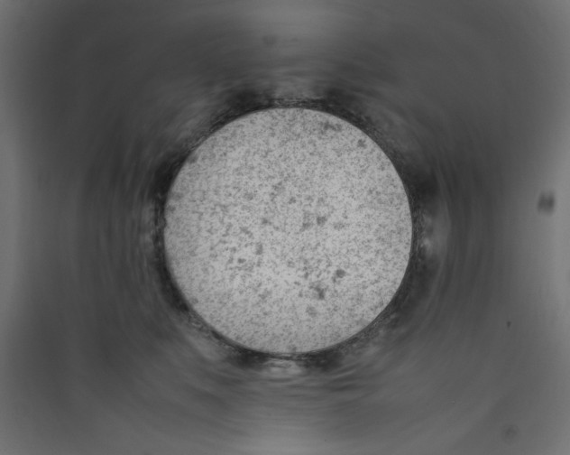 X0000089460519200707131951