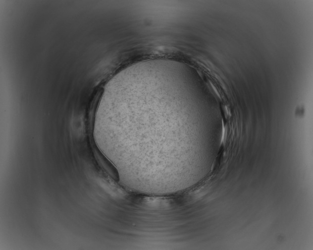 X0000089460520200707131951