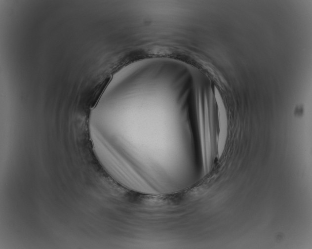 X0000089460521200707131951