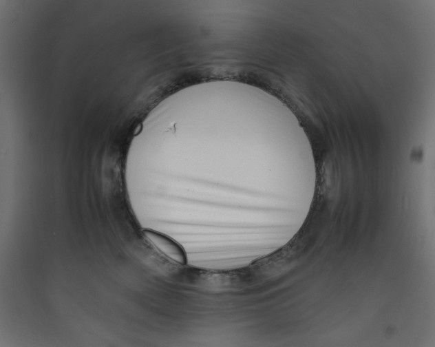 X0000089460522200707131951