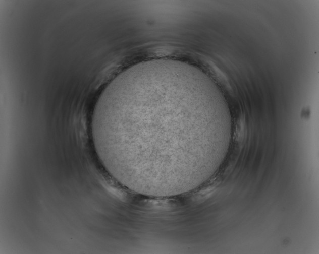 X0000089460524200707131951