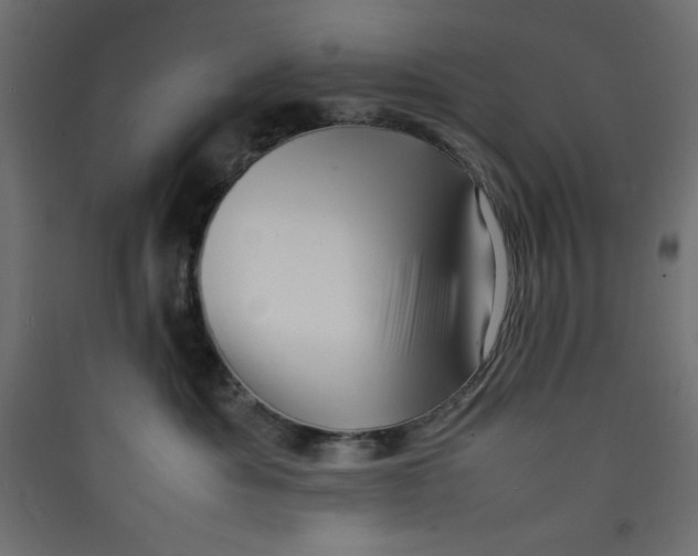 X0000089460525200707131951