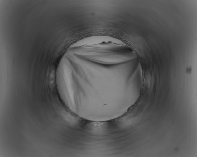 X0000089460526200707131951