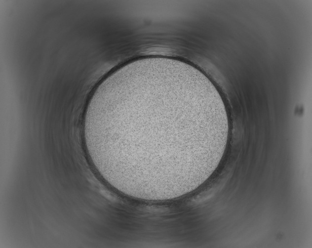 X0000089460529200707131950