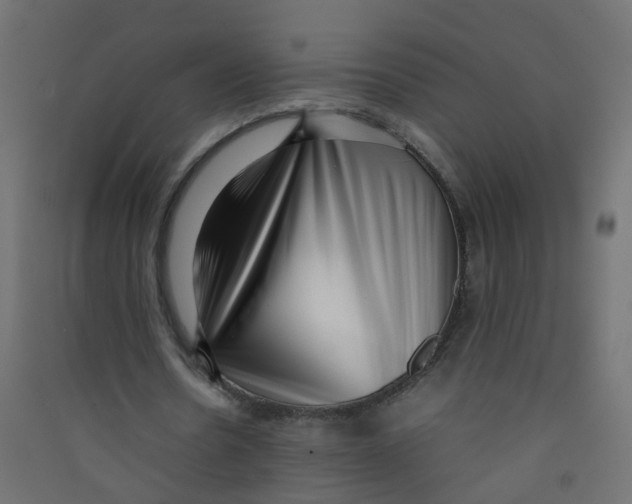 X0000089460530200707131950