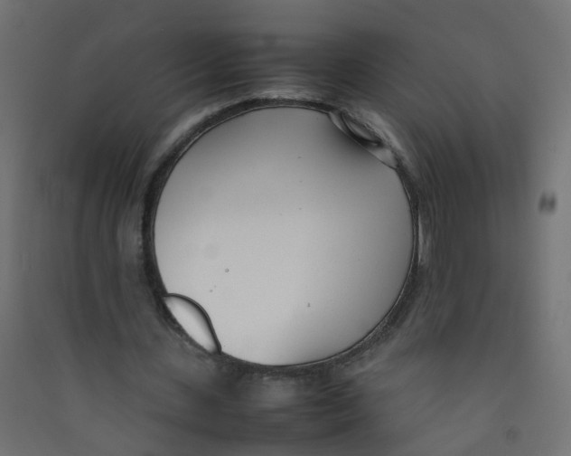 X0000089460531200707131950