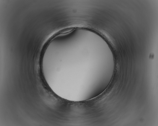 X0000089460532200707131950