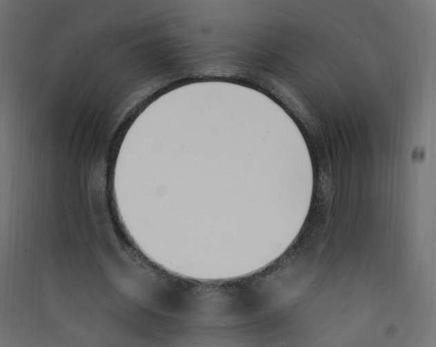 X0000089460534200707131950