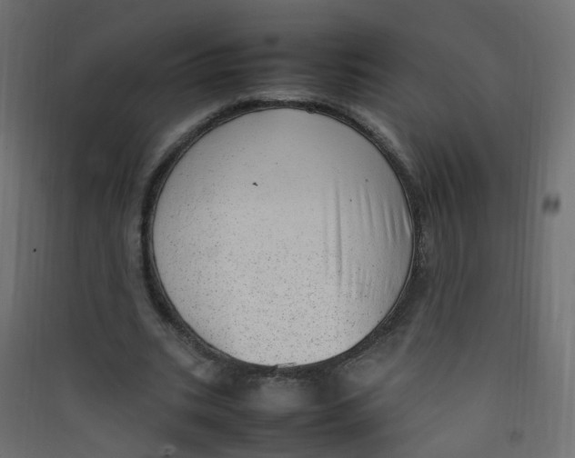 X0000089460535200707131950