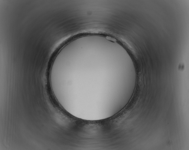 X0000089460536200707131950