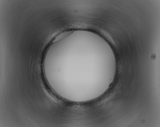 X0000089460538200707131950