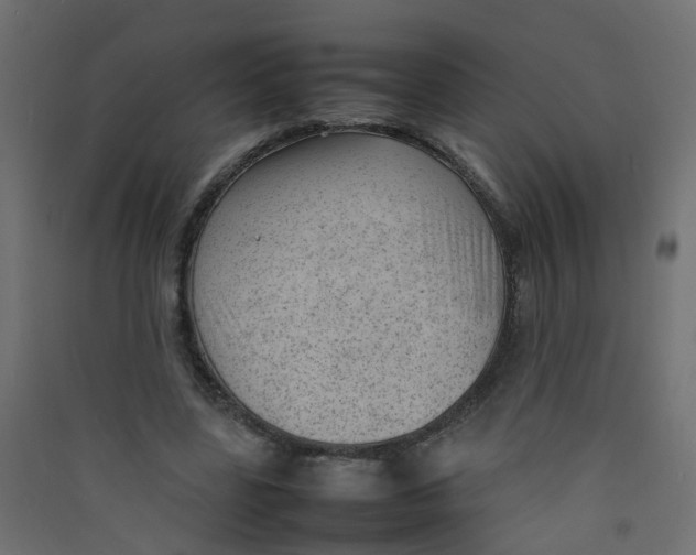 X0000089460539200707131950