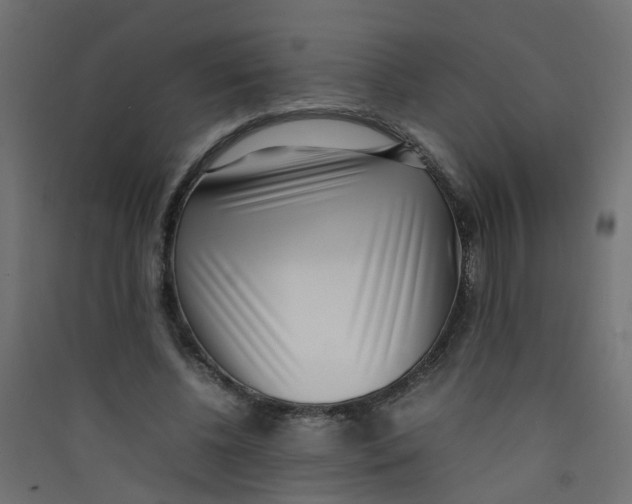 X0000089460540200707131950