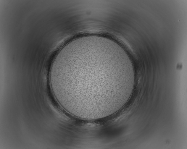 X0000089460542200707131950