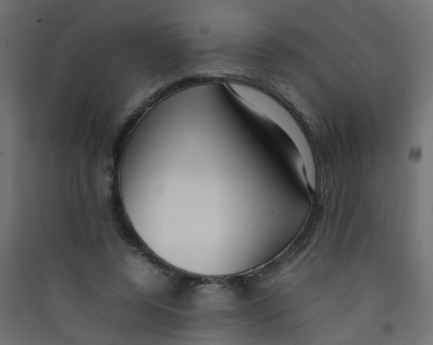 X0000089460544200707131950