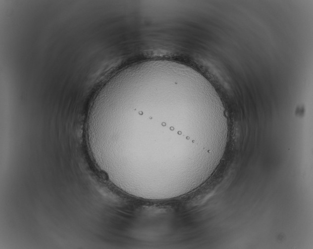 X0000089460545200707131950