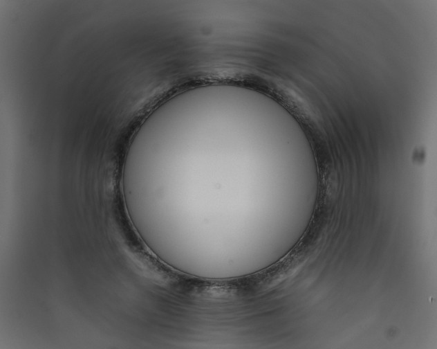 X0000089460546200707131950