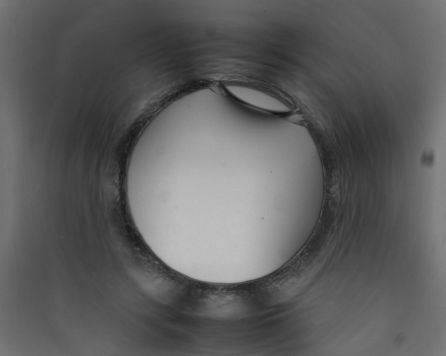 X0000089460547200707131950