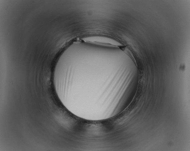 X0000089460548200707131950