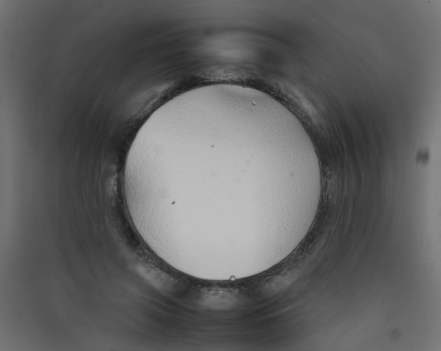 X0000089460549200707131950