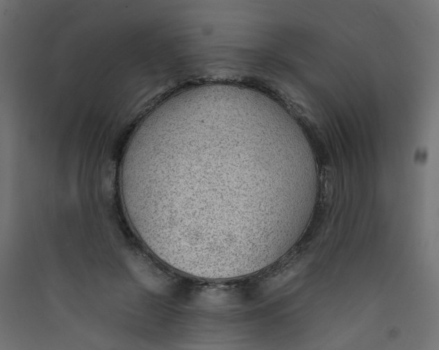 X0000089460550200707131951