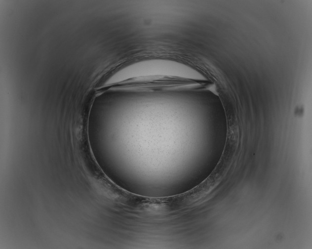 X0000089460552200707131951