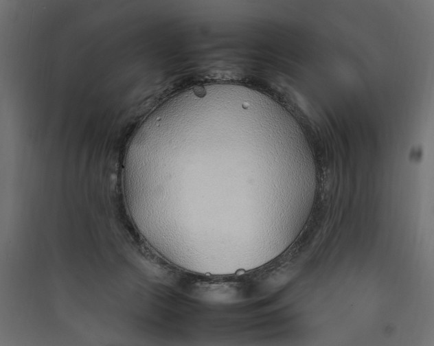 X0000089460553200707131951