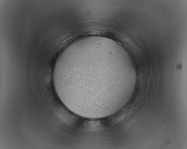 X0000089460554200707131951