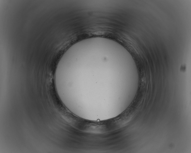 X0000089460555200707131951